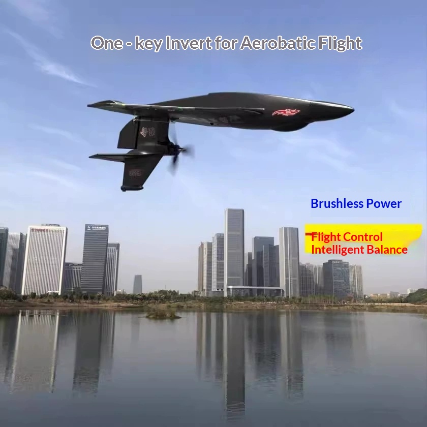 Rc Glider Foam Wing - เครื่องบินบังคับวิทยุ 6CH รุ่น H650 Raptor มอเตอร์ไร้แปรงถ่าน