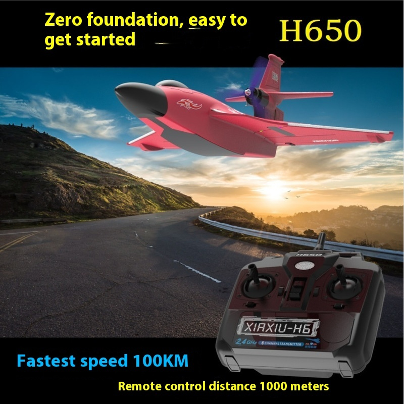 H650 ขนาดใหญ่ RC เครื่องบินปีก - Rc Glider Foam Wing บทวิจารณ์และราคา