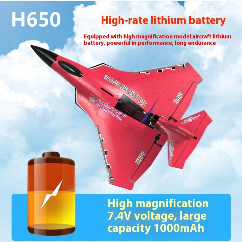 H650 ขนาดใหญ่ RC เครื่องบินปีก - Rc Glider Foam Wing บทวิจารณ์และราคา